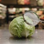 Alt text: Lettuce under investigation during 2026 Cyclospora outbreak